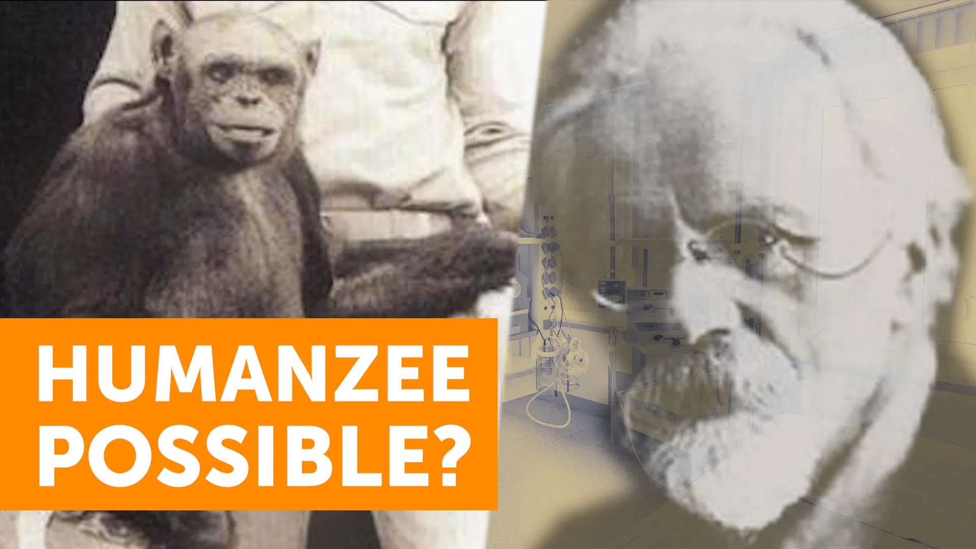 humanzee