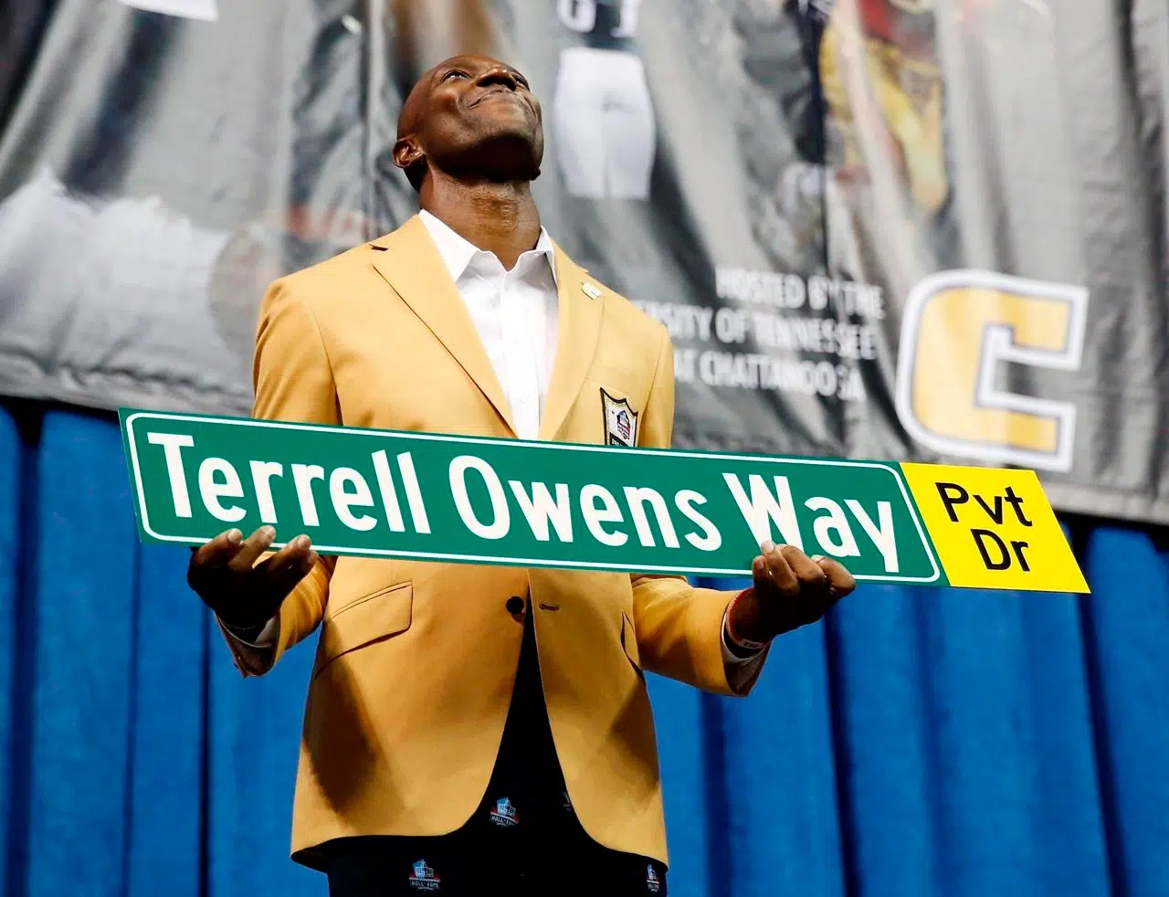 Terrell Owens finally gets into the NFL Hall of Fame - Blogging