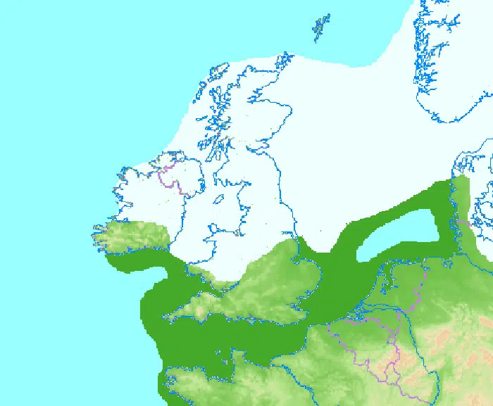 european ice age