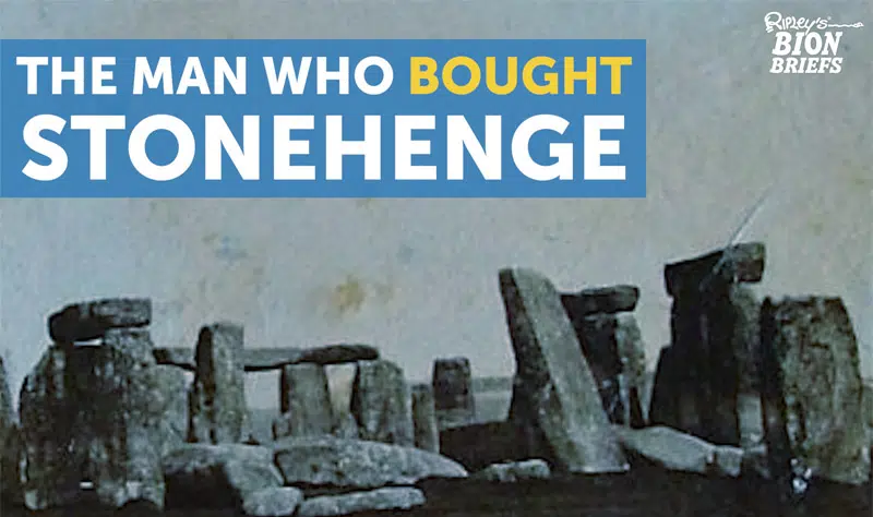 stonehenge auction