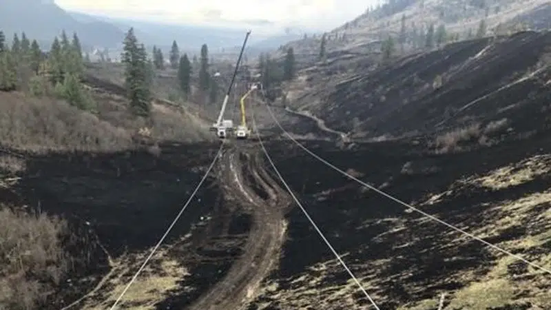 BC Hydro crews complete delicate task saving bald eagle nest atop