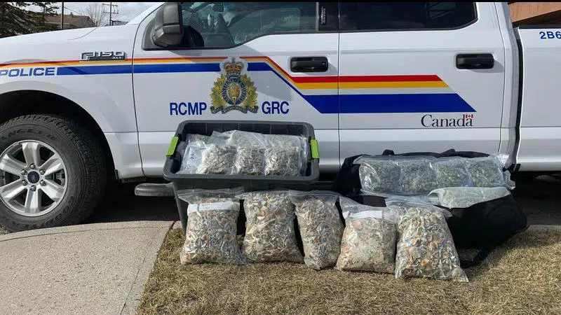 Significant Drug Seizures By RCMP Traffic Services In Banff And Jasper ...