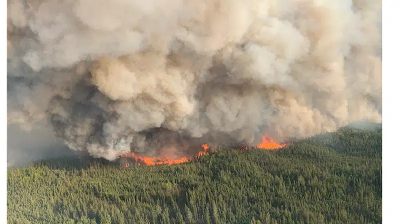 McMillan wildfire caused by arsonist, police say | rdnewsnow.com