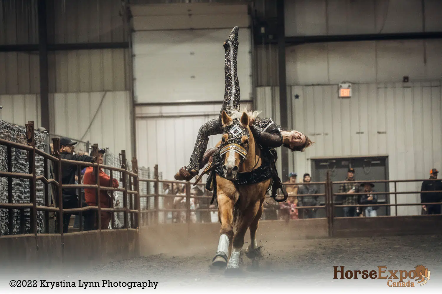 Horse Expo Canada’s second visit to Red Deer begins Friday