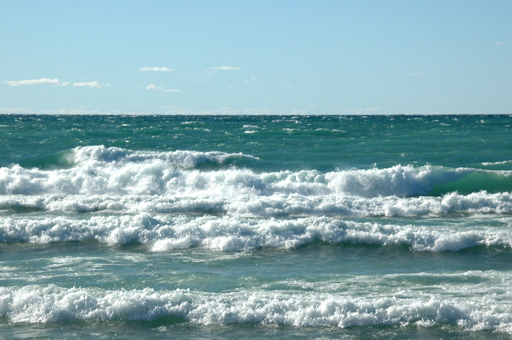 Swimmers Recused off King Park Wednesday - Vimarsana News