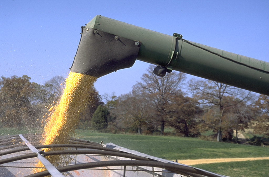 AREA FARMER PLACES SECOND IN NATIONAL CORN YIELD CONTEST - Vimarsana News