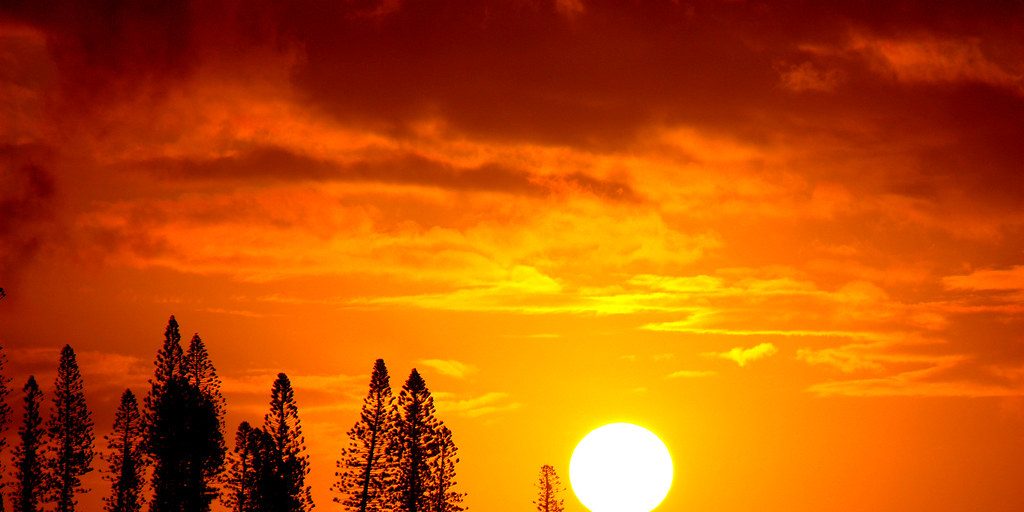 Another Area Fatal Auto Accident Likely Due to Glaring Sun - Vimarsana News