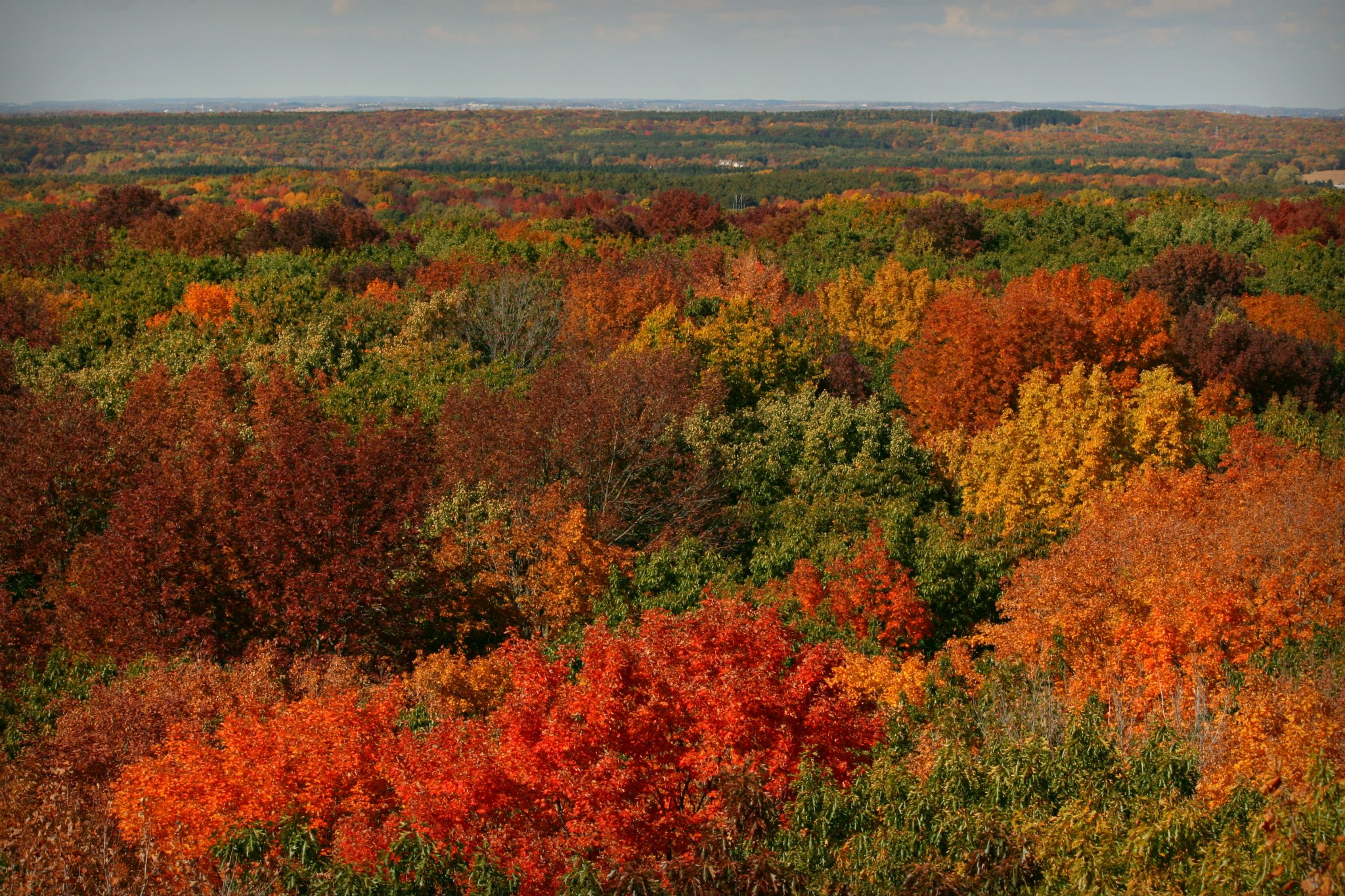 The Top 15 Things To Do Around Sheboygan This Weekend - Vimarsana News