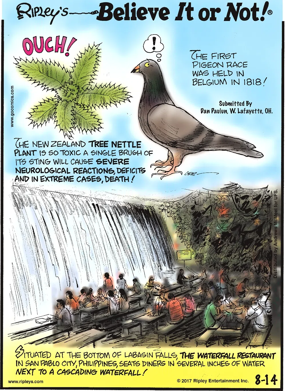 The New Zealand Tree Nettle Plant is so toxic a single brush of its sting will cause severe neurological reactions, deficits and in extreme cases, death!-------------------- The first pigeon race was held in Belgium in 1818! Submitted by Dan Paulun, W. Lafayette, OH.-------------------- Situated at the bottom of Labasin Falls, The Waterfall Restaurant in San Pablo City, Philippines, seats diners in several inches of water next to a cascading waterfall!
