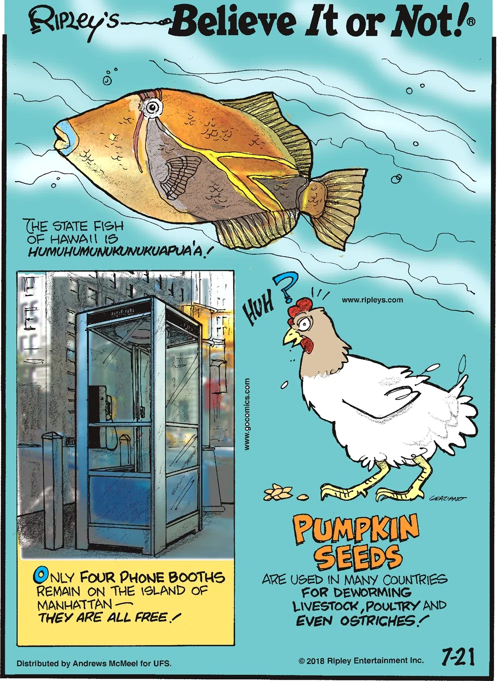 The state fish of Hawaii is humuhumunukunukuapua'a!-------------------- Only four phone booths remain on the island of Manhattan - they are all free!-------------------- Pumpkin seeds are used in many countries for deworming livestock, poultry and even ostriches!