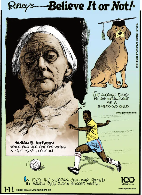 1. Susan B. Anthony never paid her fine for voting in the 1872 election. 2. The average dog is as intelligent as a 2-year-old child. 3. In 1969, the Nigerian Civil War paused to watch Pele play a soccer match.