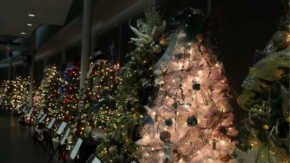Chinook Regional Hospital Foundation Christmas Tree Gala nets 165,000 Lethbridge News Now