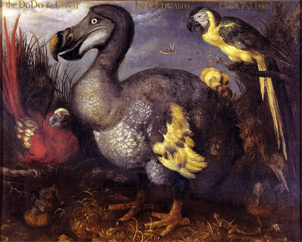 dodo bird painting