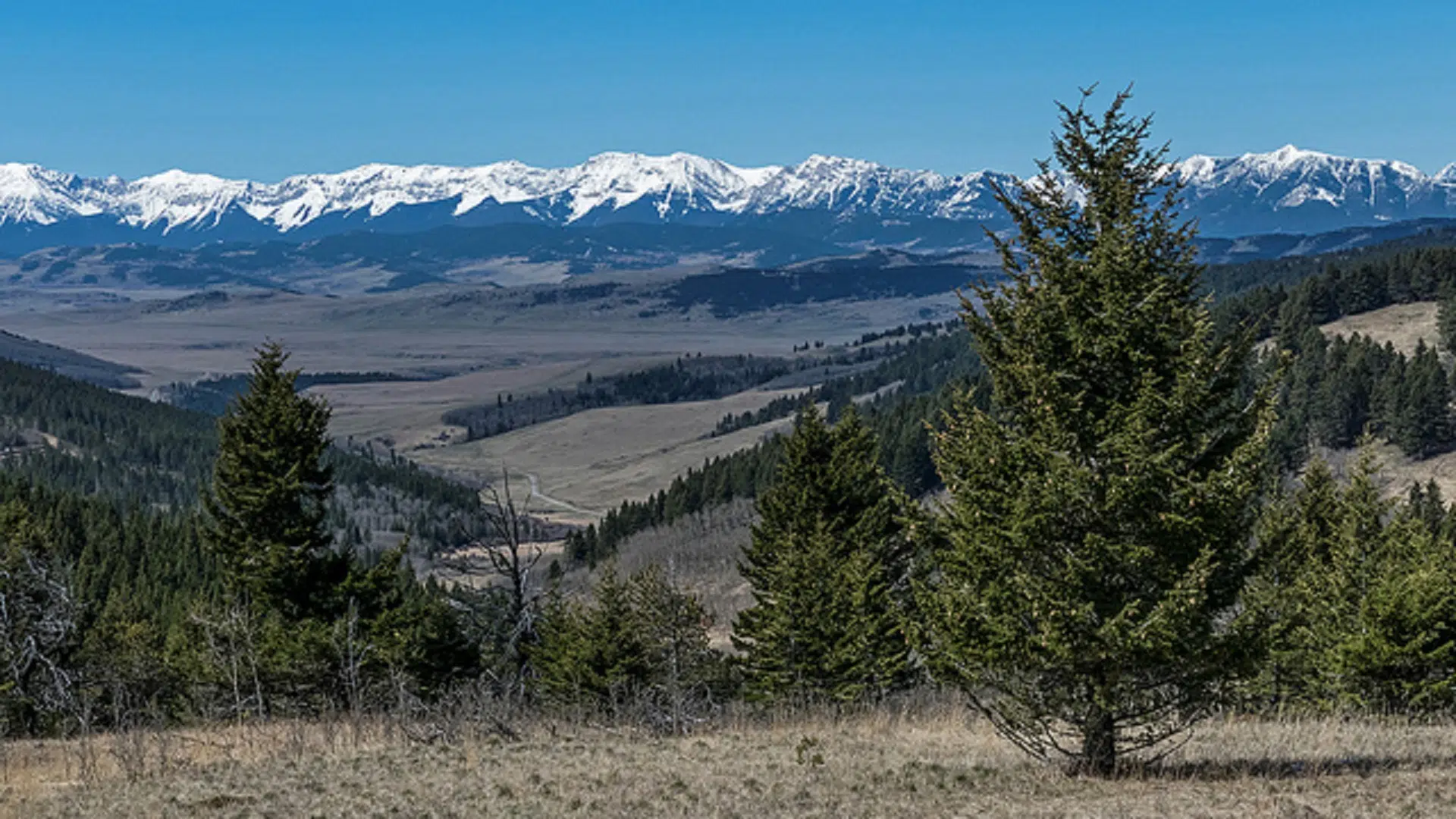 Alberta releases trail plans for offhighway vehicle use for