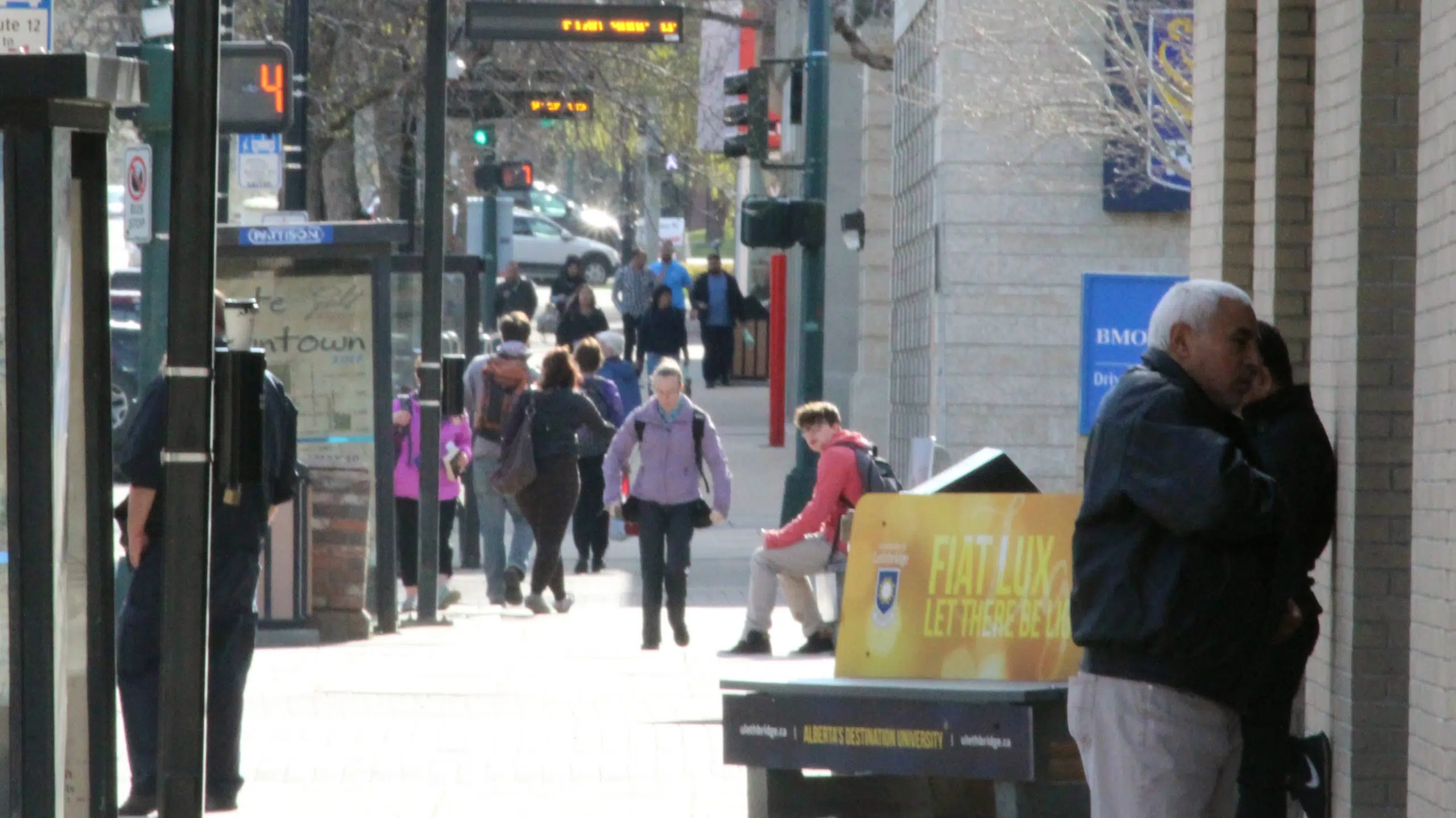 Census release gives profile of spoken languages, family and household ...