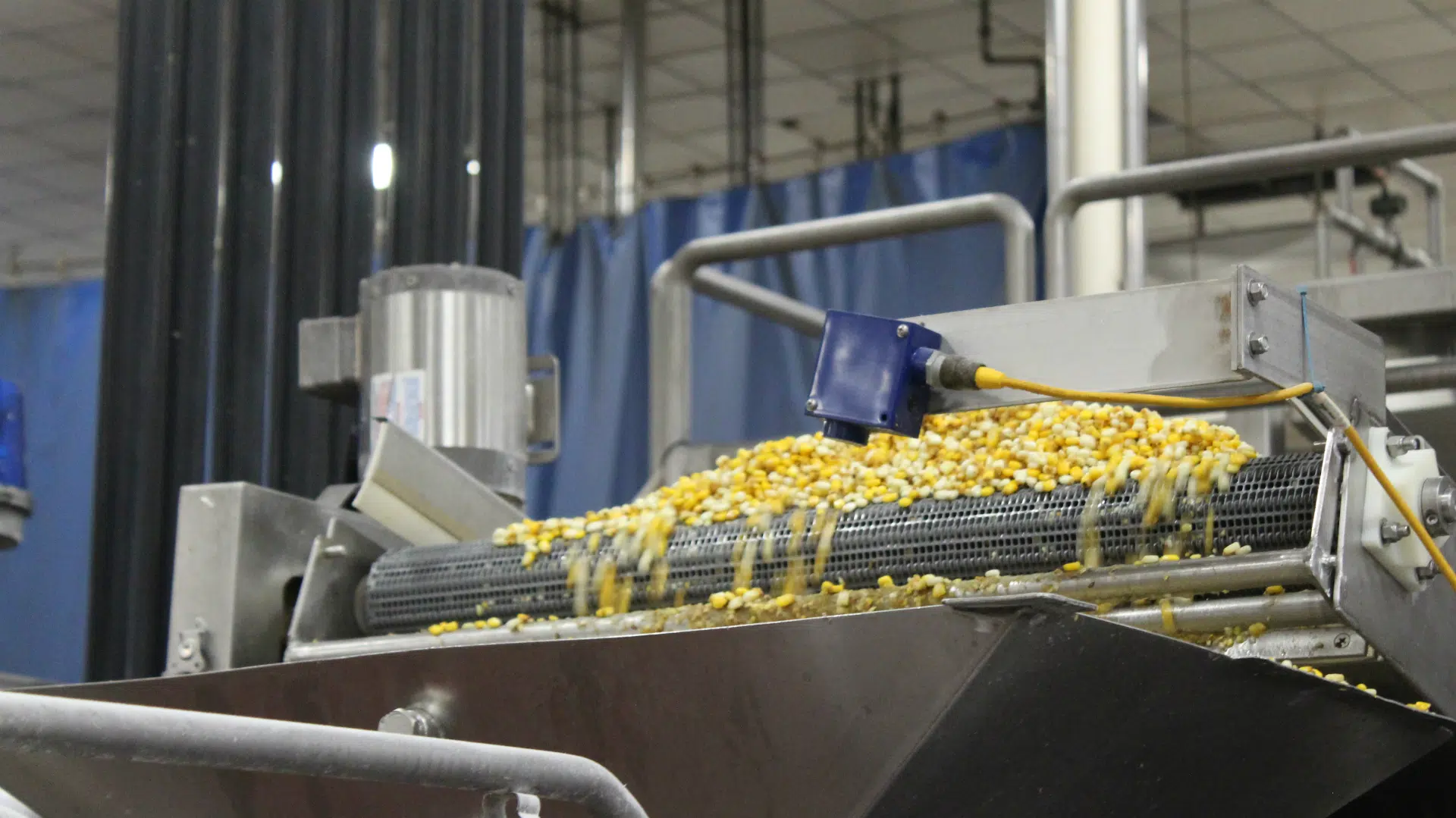 FOOD FOR THOUGHT Western Canada snacks on southern Alberta products