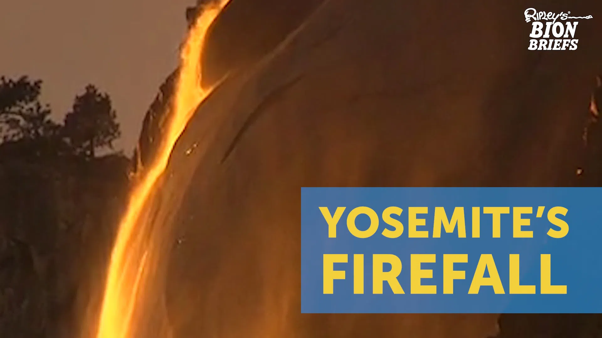 yosimete firefall