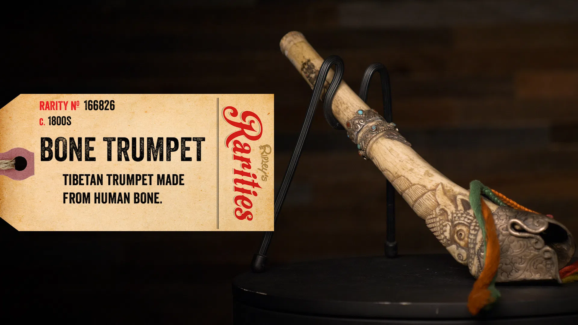 A Bone Trumpet Made For Calling Demons Lethbridge News Now