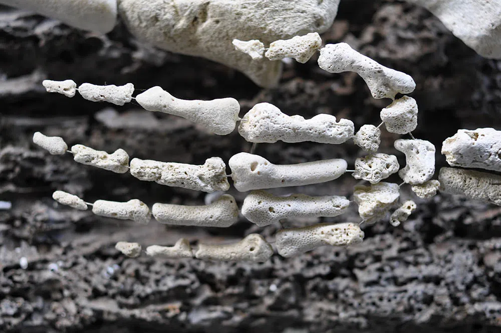 coral skeleton hand