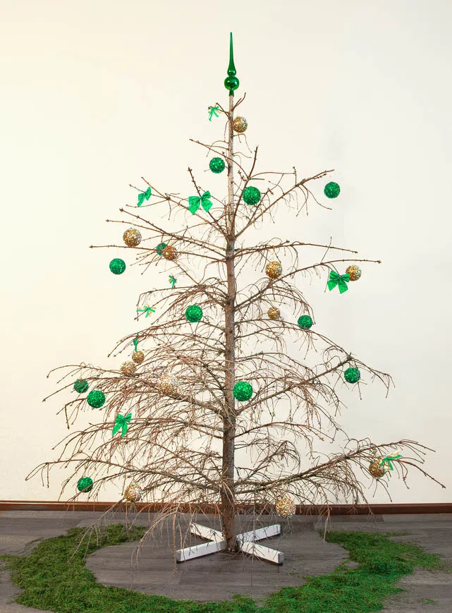 dry christmas tree