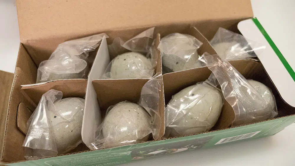 individually wrapped century eggs
