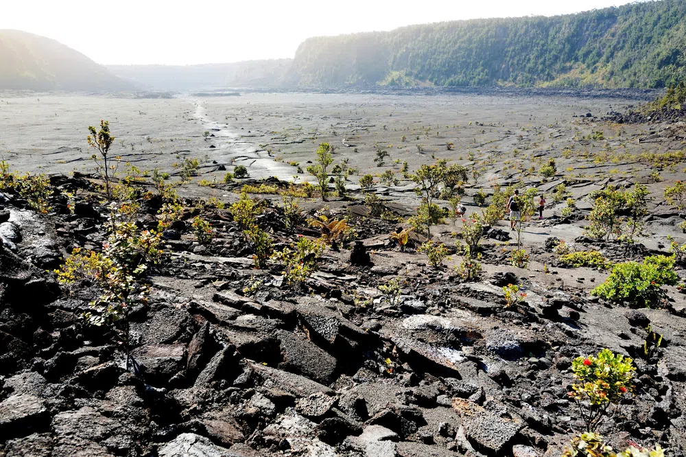 volcanic rocks hawaii