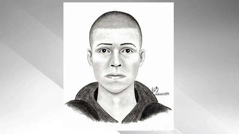 Local Police Looking To Identify Assault Suspect With New Composite ...