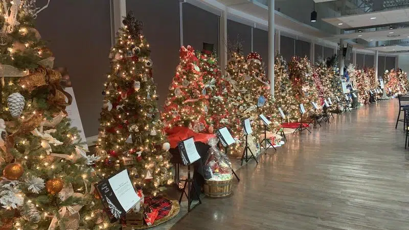 Christmas Tree Festival auction on Wednesday raising money for hospital 