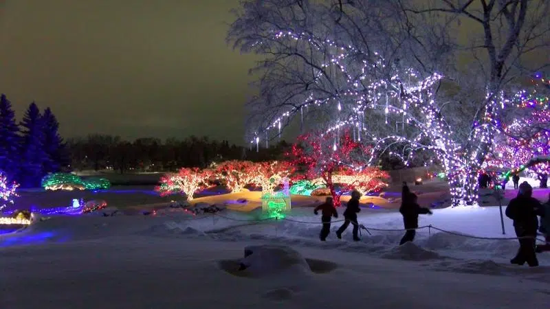 Winter Light Festival brings light – and fun – to dark winter evenings