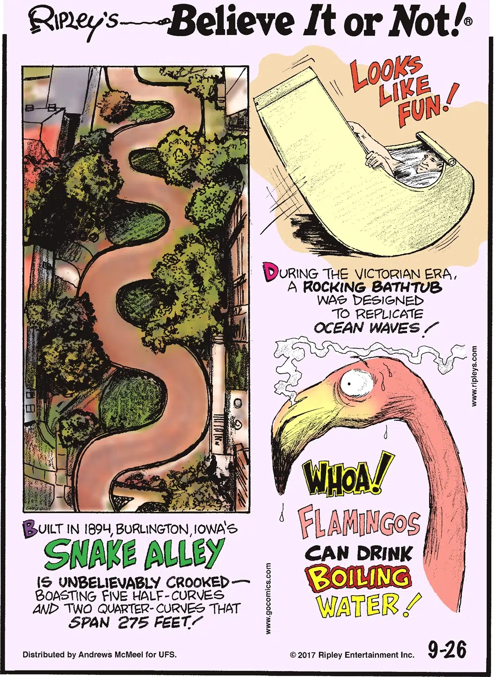 Built in 1894, Burlington, Iowa's Snake Alley is unbelievably crooked - boasting five half-curves and two quarter-curves that span 275 feet!--------------------- During the Victorian Era, a rocking bathtub was designed to replicate ocean waves!-------------------- Flamingos can drink boiling water!