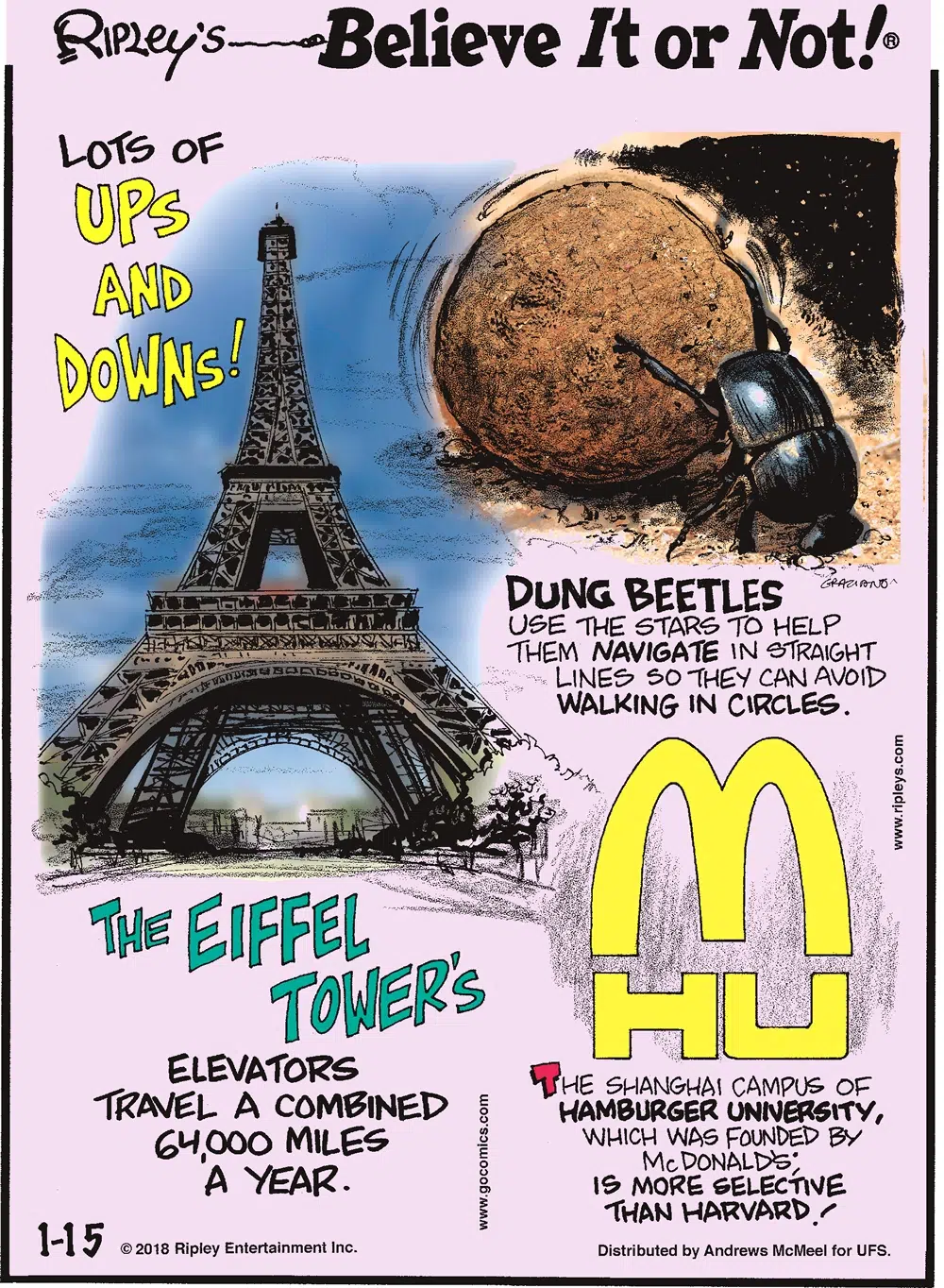 The Eiffel Tower's elevators travel a combined 64,000 miles a year.-------------------- Dung beetles use the stars to help them navigate in straight lines so they can avoid walking in circles.-------------------- The Shanghai campus of Hamburger University, which was founded by McDonald's, is more selective than Harvard!