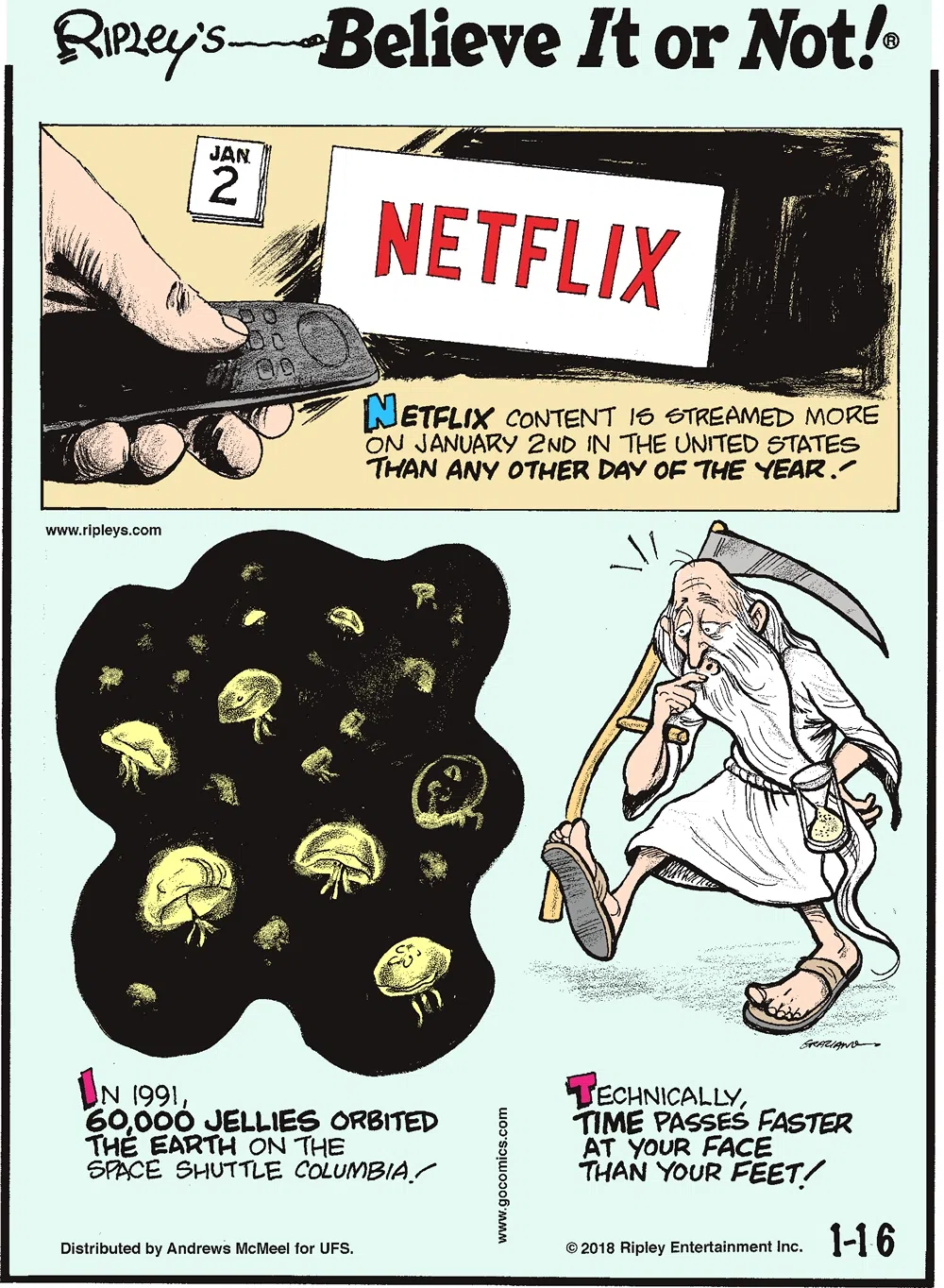 Netflix content is streamed more on January 2nd in the United States than any other day of the year!-------------------- In 1991, 60,000 jellies orbited the Earth on the space shuttle Columbia!-------------------- Technically, time passes faster at your face than your feet!