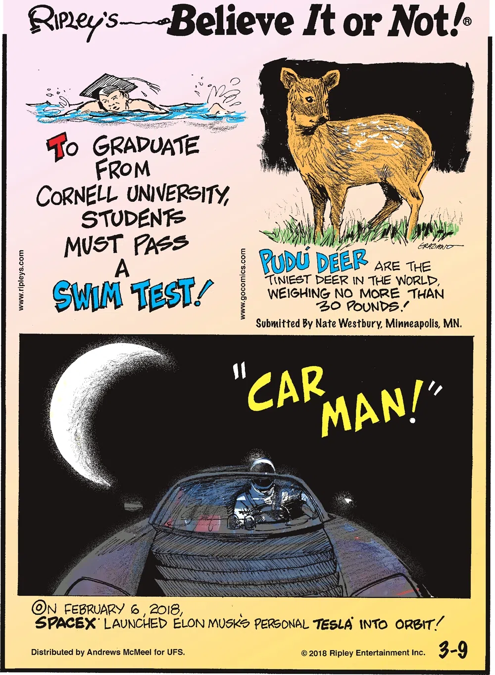 To graduate from Cornell University, students must pass a swim test!-------------------- Pudu deer are the tiniest deer in the world, weighing no more than 30 pounds! Submitted by Nate Westbury, Minneapolis, MN.-------------------- On February 6, 2018, SpaceX launched Elon Musk's personal Tesla into orbit!
