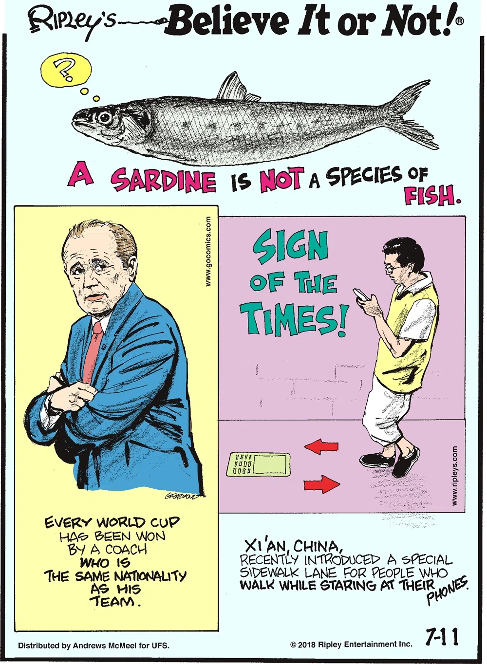 A sardine is not a species of fish.-------------------- Every World Cup has been won by a coach who is the same nationality as his team.-------------------- Xi'an, China, recently introduced a special sidewalk lane for people who walk while staring at their phones.