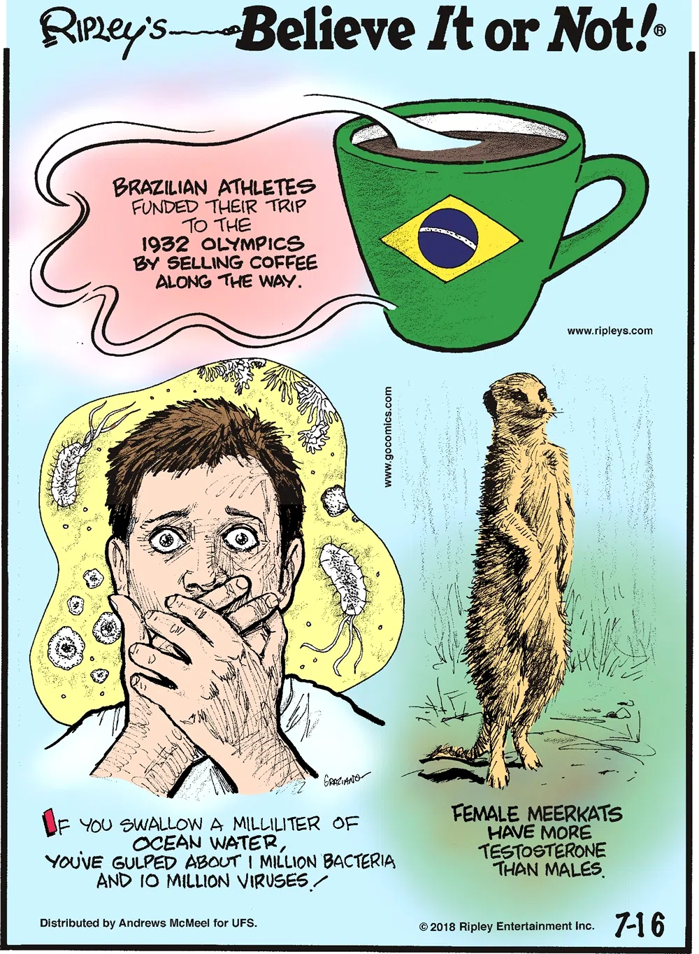Brazilian athletes funded their trip to the 1932 Olympics by selling coffee along the way.-------------------- If you swallow a milliliter of ocean water, you've gulped about 1 million bacteria and 10 million viruses!--------------------- Female meerkats have more testosterone than males.