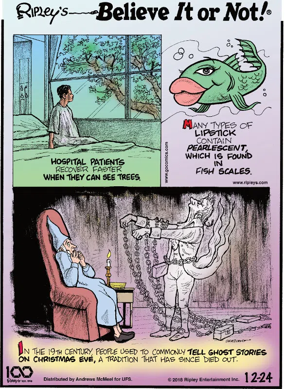 1. Hospital patients recover faster when they can see trees. 2. Many types of lipstick contain pearlescent, which is found in fish scales. 3. In the 19th century, people used to commonly tell ghost stories on Christmas Eve, a tradition that has since died out.