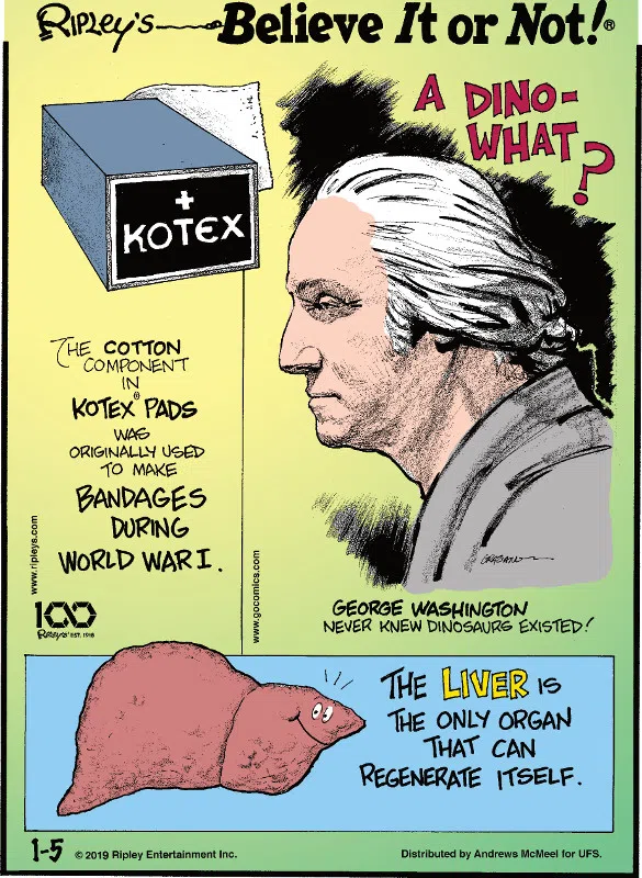 1. The cotton component in Kotex pads was originally used to make bandages during World War I. 2. George Washington never knew dinosaurs existed! 3. The liver is the only organ that can regenerate itself.