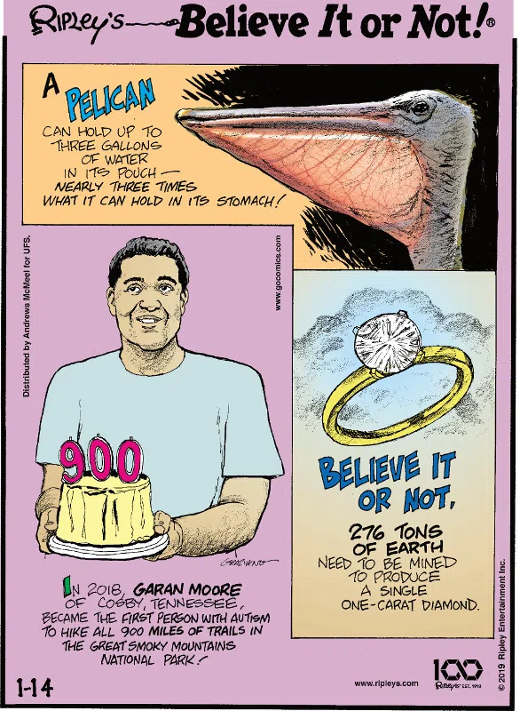 1. A pelican can hold up to three gallons of water in its pouch - nearly three times what it can hold in its stomach! 2. In 2018, Garan Moore of Cosby, Tennessee, became the first person with autism to hike all 900 miles of trails in The Great Smoky Mountains National Park! 3. Believe It or Not, 276 tons of earth need to be mined to produce a single one-carat diamond.