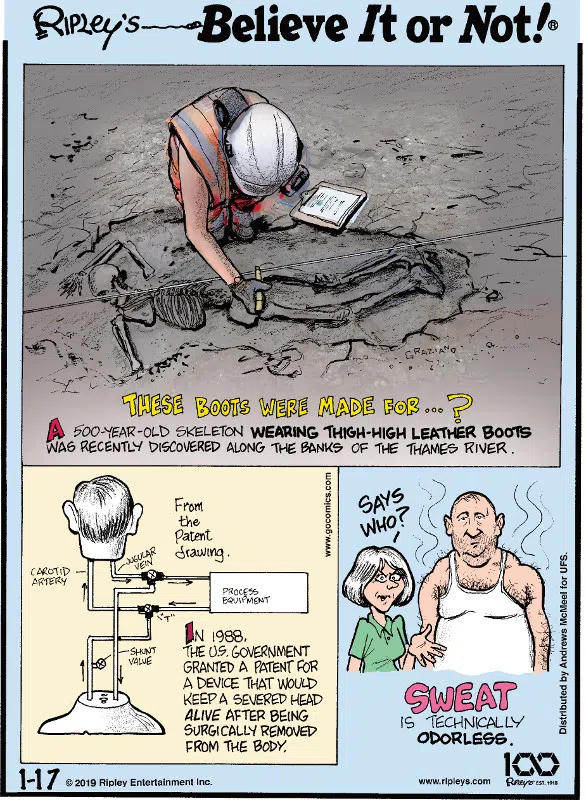 1. A 500-year-old skeleton wearing thigh-high leather boots was recently discovered along the banks of the Thames River. 2. In 1988, the U.S. Government granted a patent for a device that would keep a severed head alive after being surgically removed from the body. 3. Sweat is technically odorless.