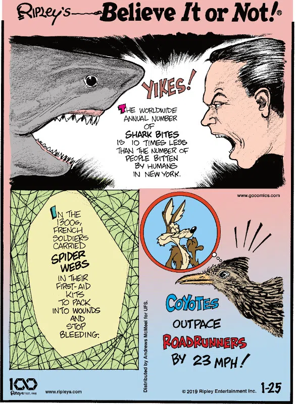 1. Yikes! The worldwide annual number of shark bites is 10 times less than the number of people bitten by humans in New York. 2. In the 1300s, French soldiers carried spider webs in their first-aid kits to pack into wounds and stop bleeding. 3. Coyotes outpace roadrunners by 23 mph!