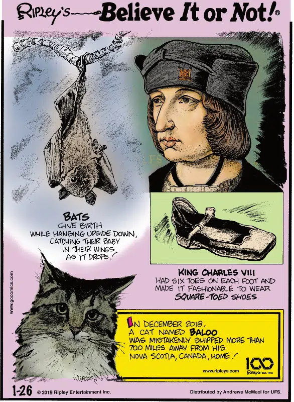 1. Bats give birth while hanging upside down, catching their baby in their wings as it drops! 2. King Charles VIII had six toes on each foot and made it fashionable to wear square-toed shoes. 3. In December 2018, a cat named Baloo was mistakenly shipped more than 700 miles away from his Nova Scotia, Canada, home!