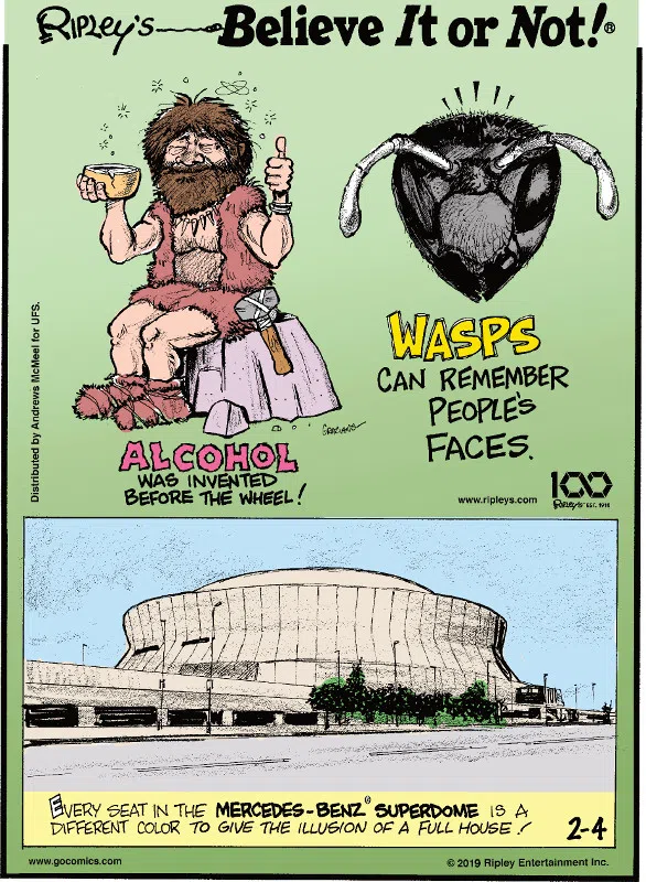 1. Alcohol was invented before the wheel! 2. Wasps can remember people's faces. 3. Every seat in the Mercedes-Benz Superdome is a different color to give the illusion of a full house!