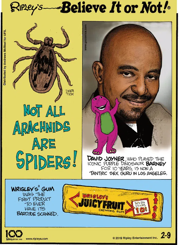 1. Not all arachnids are spiders! 2. David Joyner, who played the iconic purple dinosaur Barney for 10 years, is now a tantric sex guru in Los Angeles. 3. Wrigley's Gum was the first product to ever have its barcode scanned.