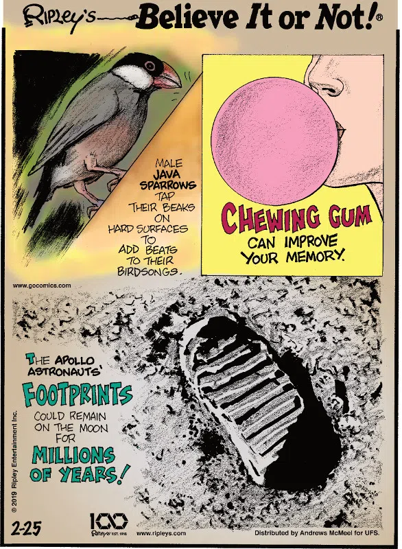 1. Male java sparrows tap their beaks on hard surfaces to add beats to their birdsongs. 2. Chewing gum can improve your memory. 3. The Apollo Astronauts' footprints could remain on the moon for millions of years!