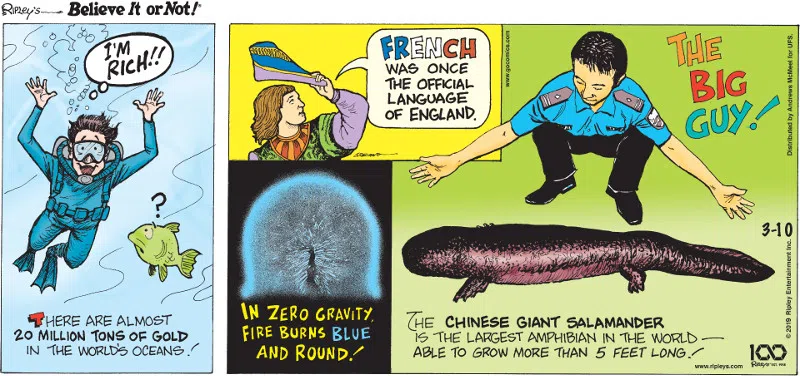 1. There are almost 20 million tons of gold in the world's oceans! 2. French was once the official language of England. 3. In zero gravity, fire burns blue and round! 4. The Chinese giant salamander is the largest amphibian in the world - able to grow more than 5 feet long!