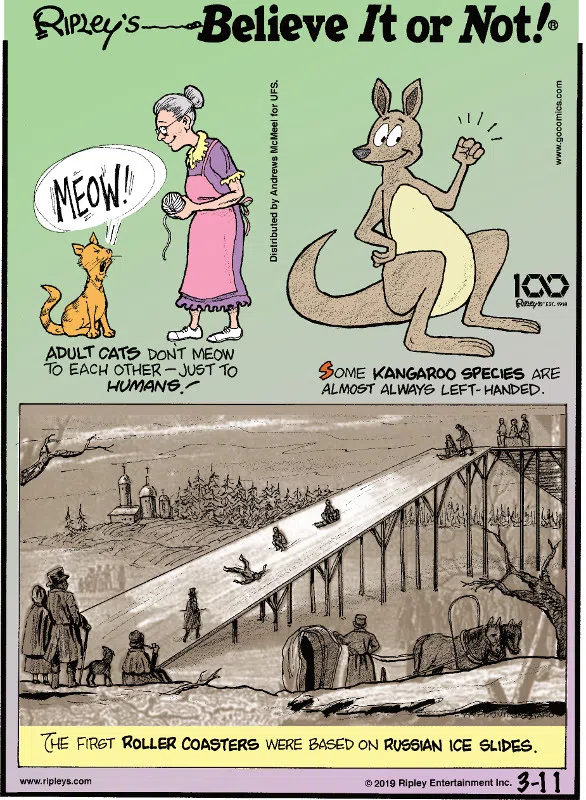 1. Adult cats don't meow to each other - just to humans. 2. Some kangaroo species are almost always left-handed. 3. The first roller coasters were based on Russian ice slides.