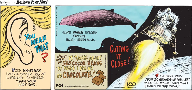 1. Your right ear does a better job at listening to speech than your left ear. 2. Some whale species produce blue-green milk. 3. It takes about 500 cocoa beans to make 1 pound of chocolate! 4. There were only about 20 seconds of fuel left when the Apollo 11 spacecraft landed on the moon!