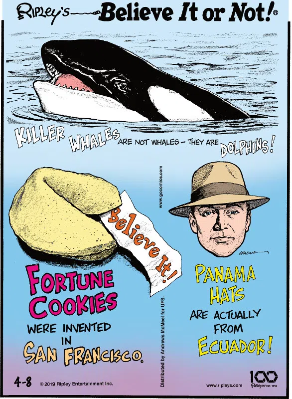 1. Killer whales are not whales - they are dolphins! 2. Fortune cookies were invented in San Francisco. 3. Panama hats are actually from Ecuador!