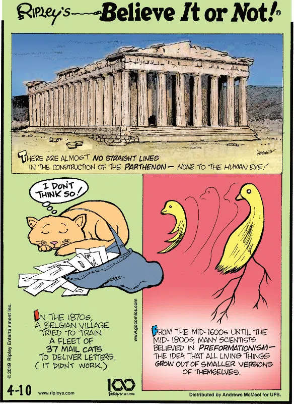 1. There are almost no straight lines in the construction of the Parthenon - none to the human eye! 2. In the 1870s, a Belgian village tried to train a fleet of 37 mail cats to deliver letters. (It didn't work.) 3. From the mid-1600s until the mid-1800s, many scientists believed in preformationism - the idea that all living things grow out of smaller versions of themselves.