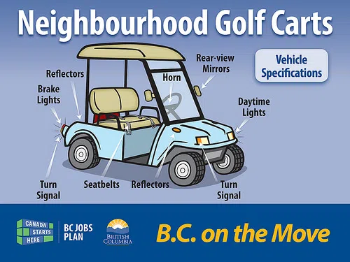 Neighbourhood golf carts